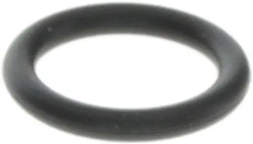 Schwarzer O-Ring von Bosch, kreisförmig und aus flexibler Gummi-ähnlicher Substanz, geeignet für Dichtungsanwendungen.